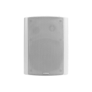 Wall-mounted Speaker